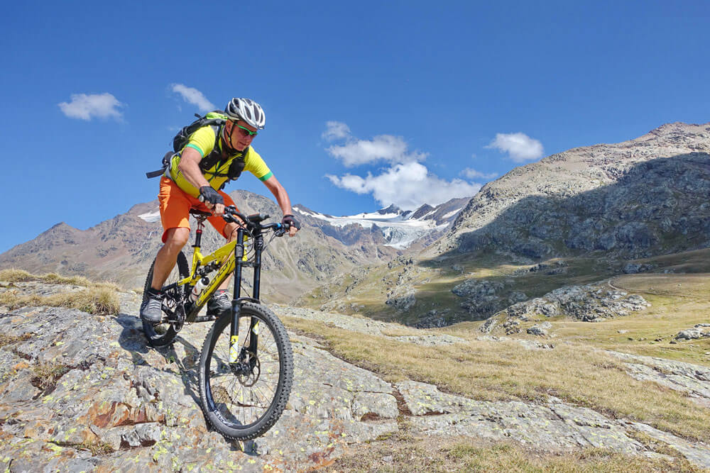 DSC01356 rifberni albi