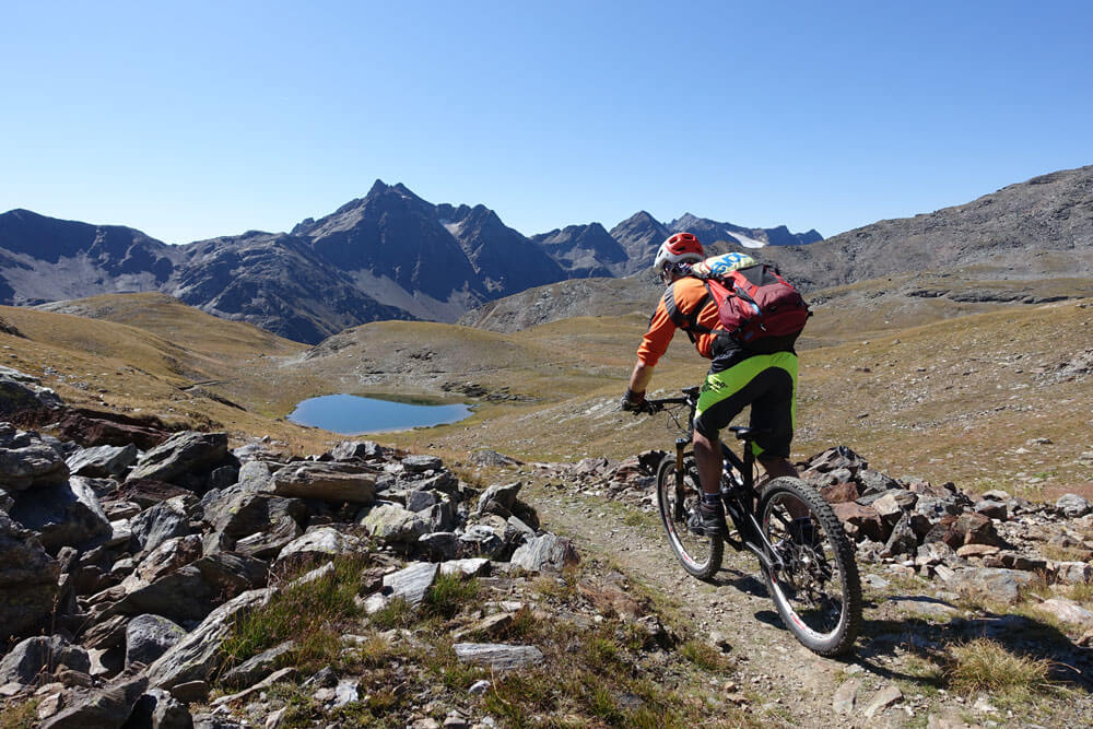 DSC01473 sunyvalleytop alex