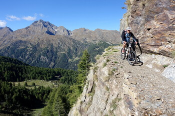 05 Venero350px DSC03235