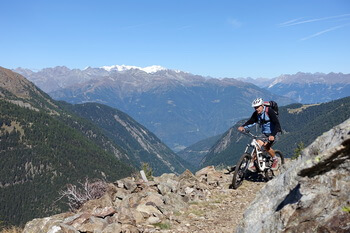 05 Venero350px DSC03246