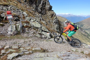 05 Venero350px DSC03279