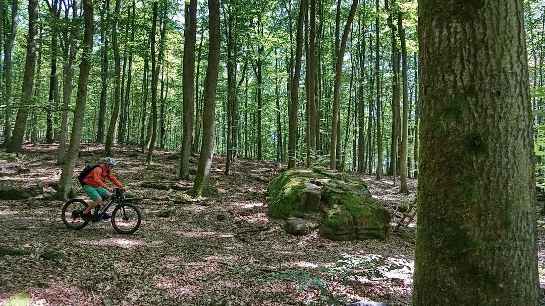 Trail im Hainbuch bei Euerdorf