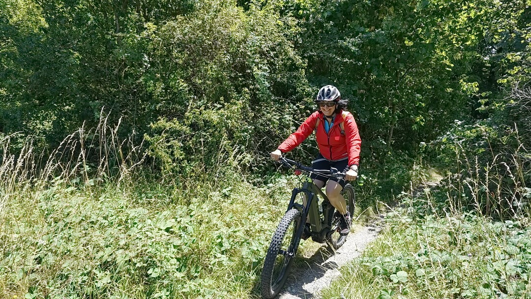 Einsame Waldpfade am Haarberg