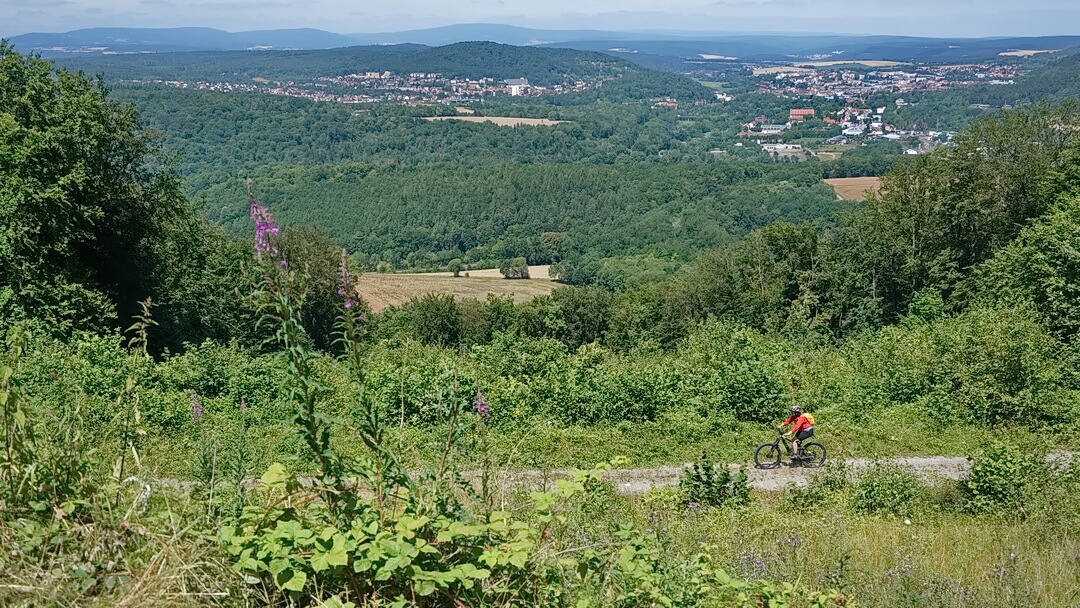 Panorama auf Bad Kissingen