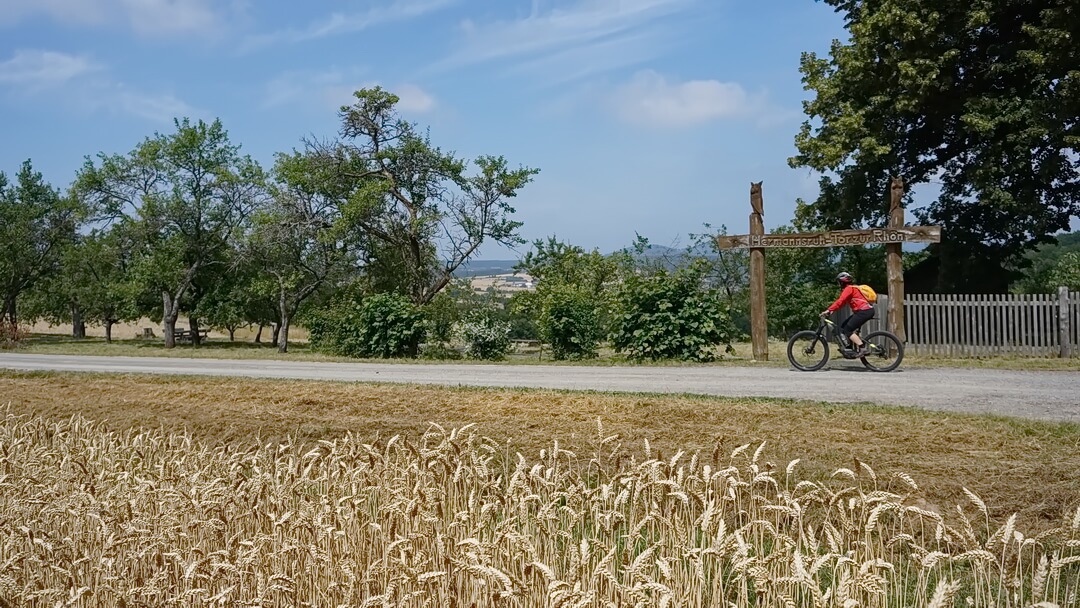 Offener Blick an der Hermannsruh