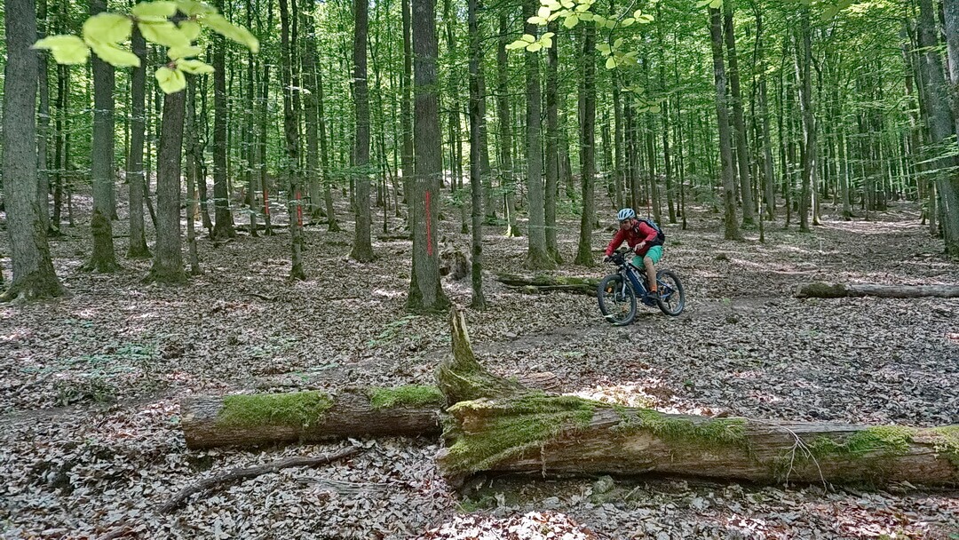 Mit Schwung in den freigelegten Singletrail