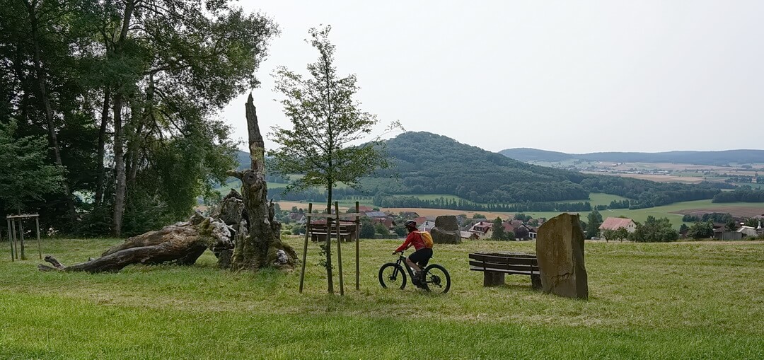 An der Urbuche mit Blick zum Mittermich