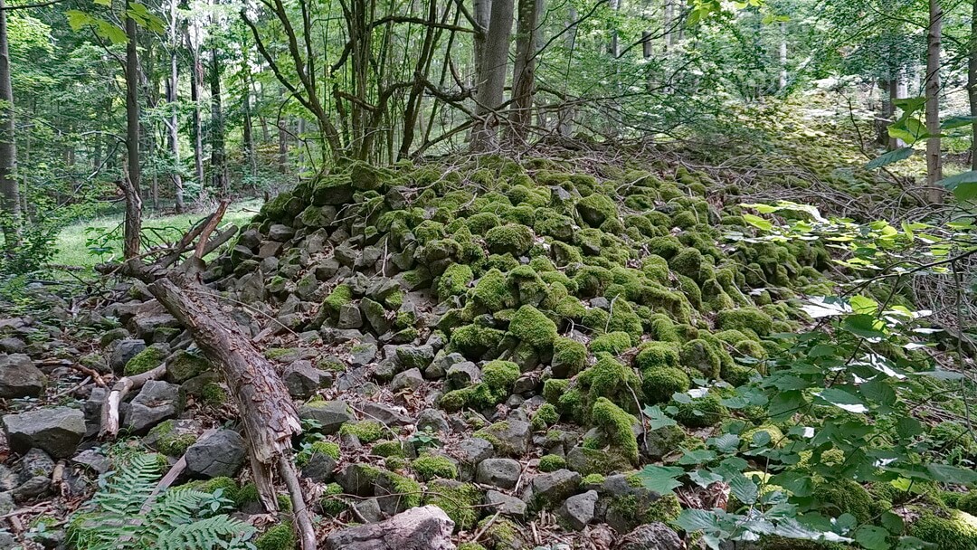 Reste alter Wallanlagen der Kelten am Mettermich