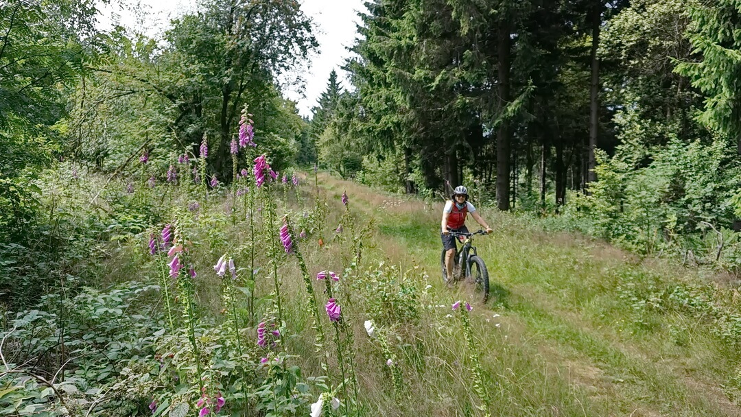 Höhenpfad in den Schwarze Bergen
