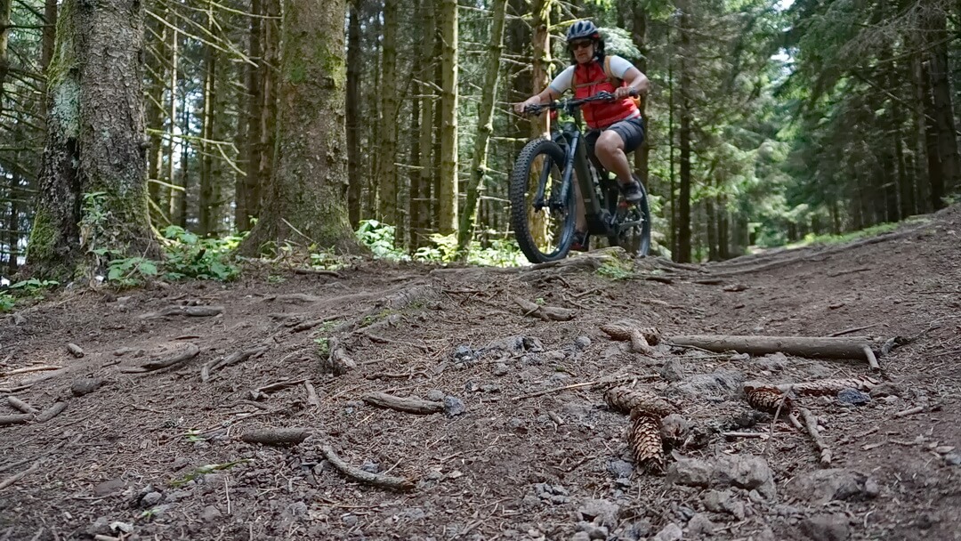 Wurzeltrail am Feuerberg