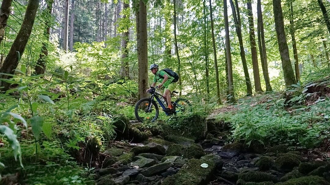 Highlight - Wildflecken-Trail