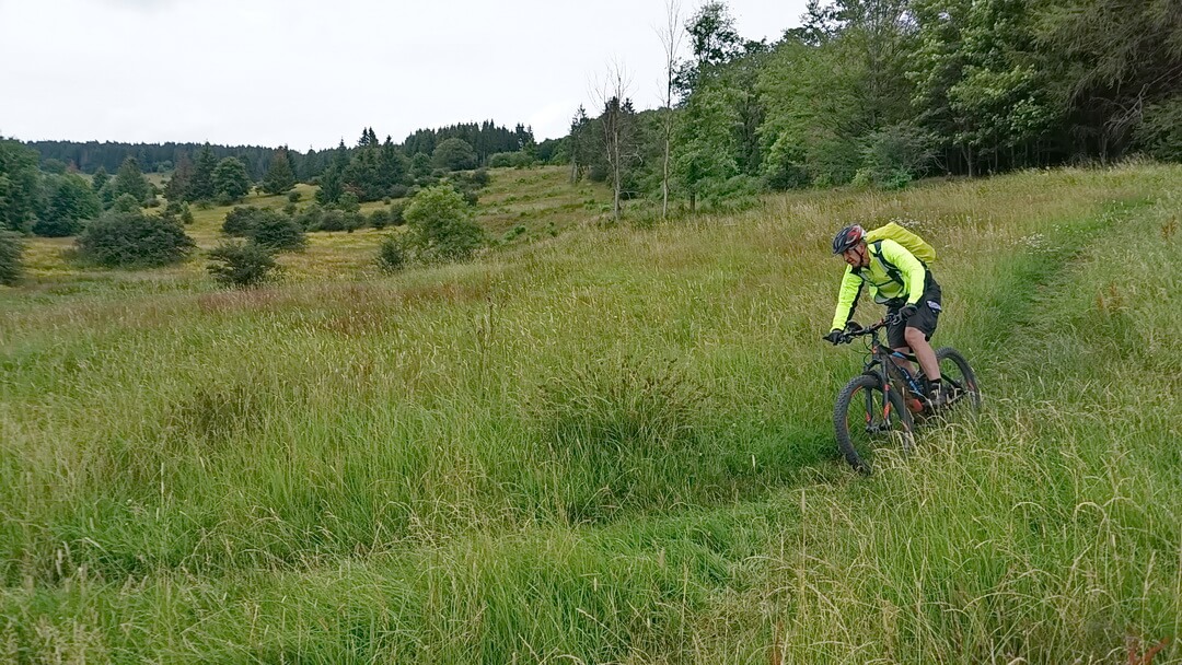 Super Wiesentrail zum Finale am Rothsee